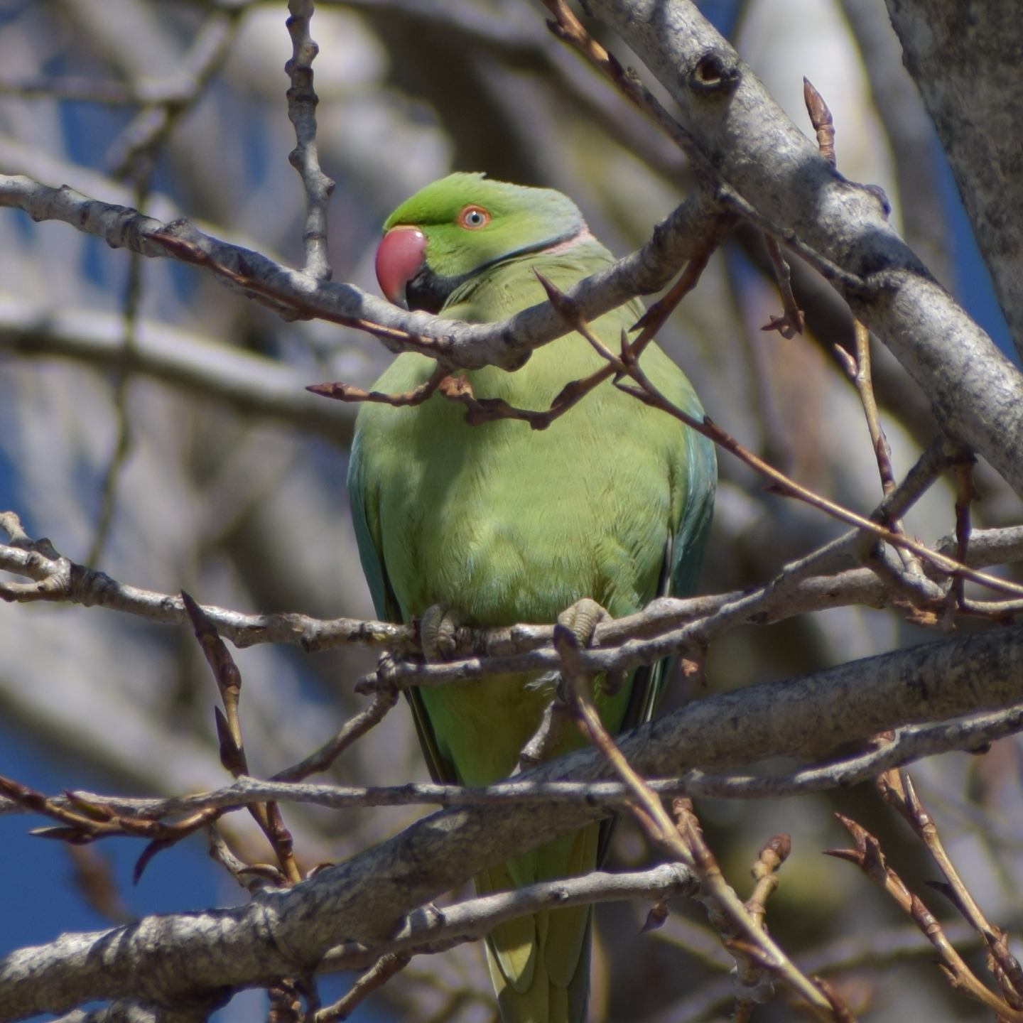 Favourite Nature Photography